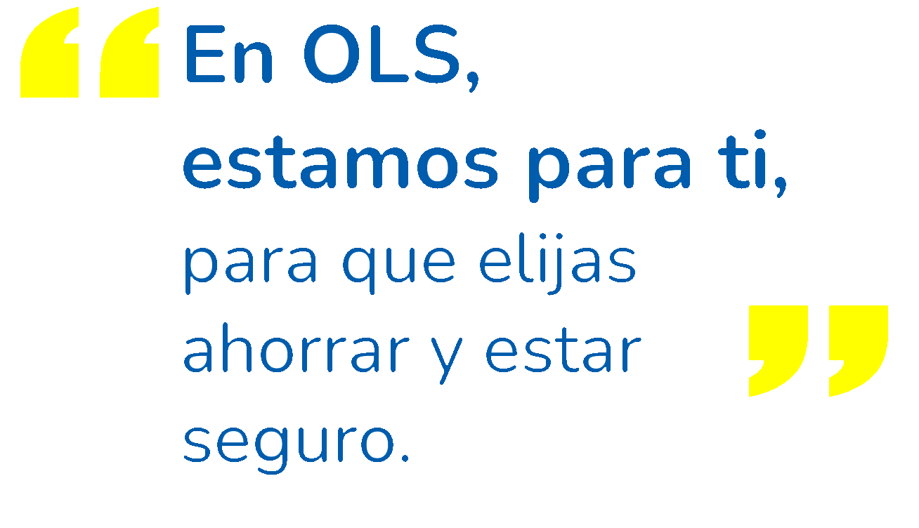 OLS Seguros